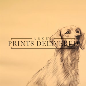 Rustic Golden Retriever Standing Sketch Print