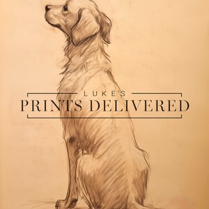 Golden Retriever Drawing Art Print