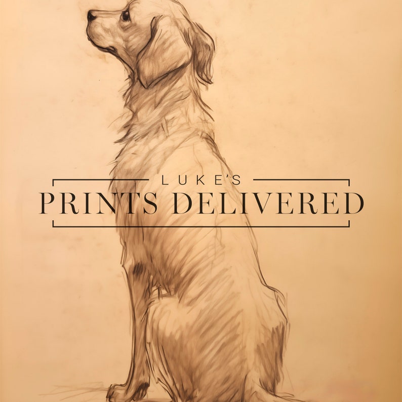 Golden Retriever Drawing Art Print