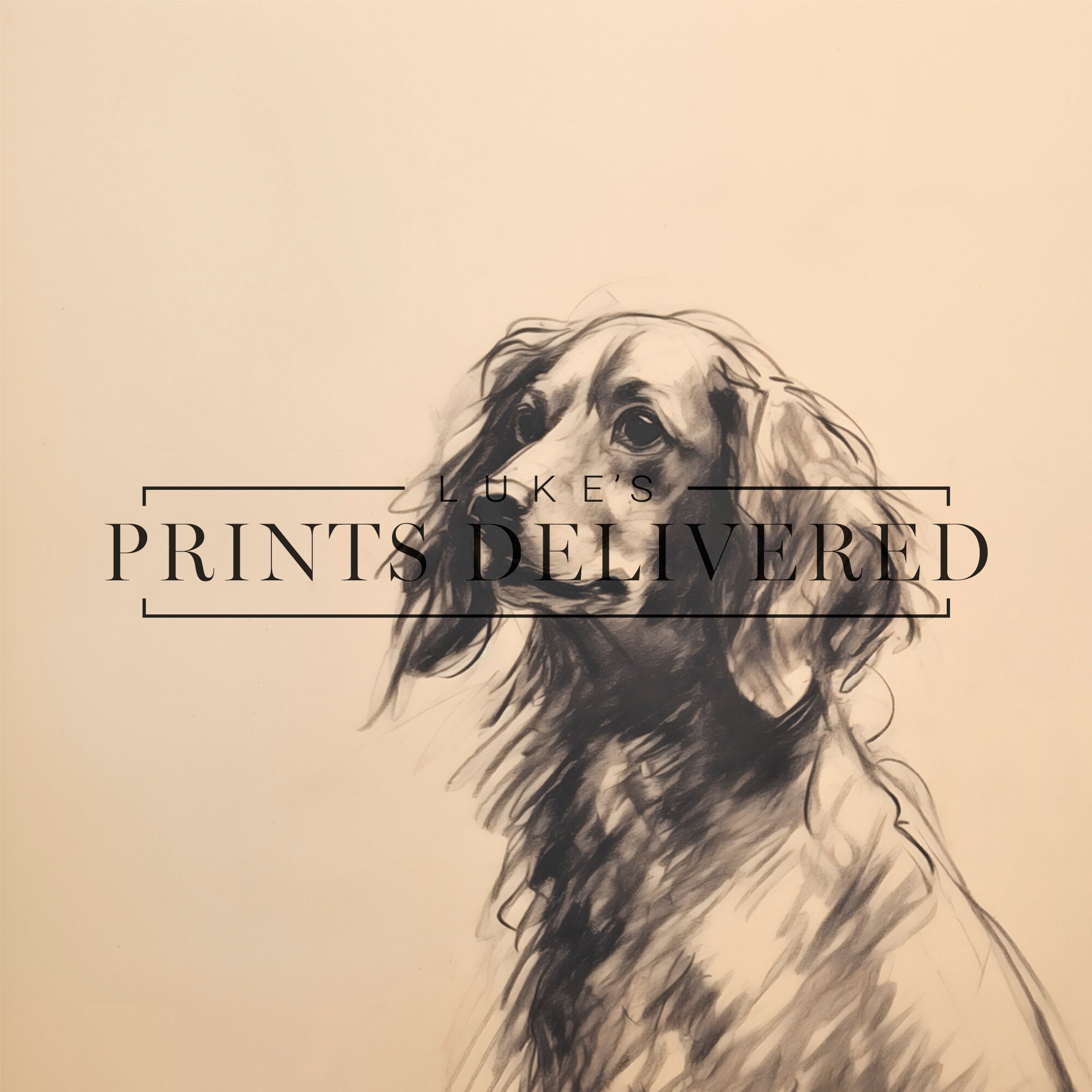Springer Spaniel Sketch Art Print - Sitting Pet Dog Drawing Portrait ...