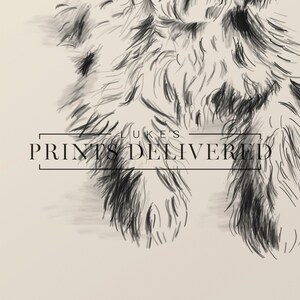 Cavoodle Sketch Art Print