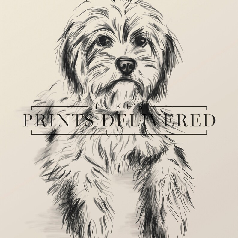 Cavoodle Sketch Art Print