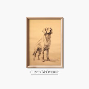 Rustic Golden Retriever Standing Sketch Print