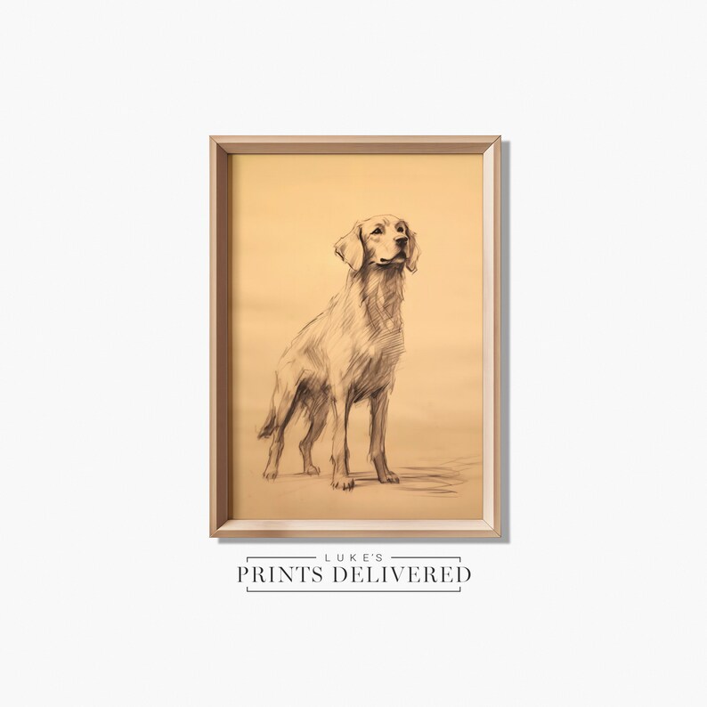 Rustic Golden Retriever Standing Sketch Print