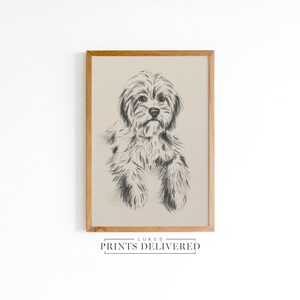 Cavoodle Sketch Art Print