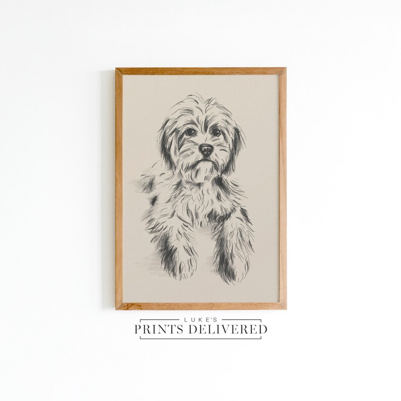 Cavoodle Sketch Art Print
