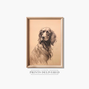 Moody Spaniel Drawing Art Print