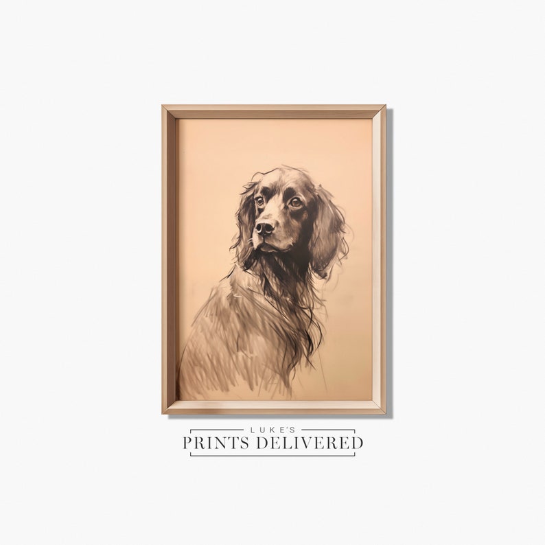 Moody Spaniel Drawing Art Print
