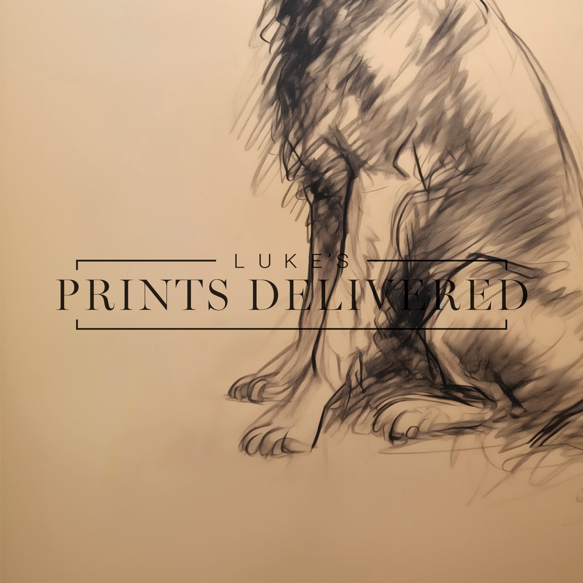 Springer Spaniel Sketch Art Print - Sitting Pet Dog Drawing Portrait ...