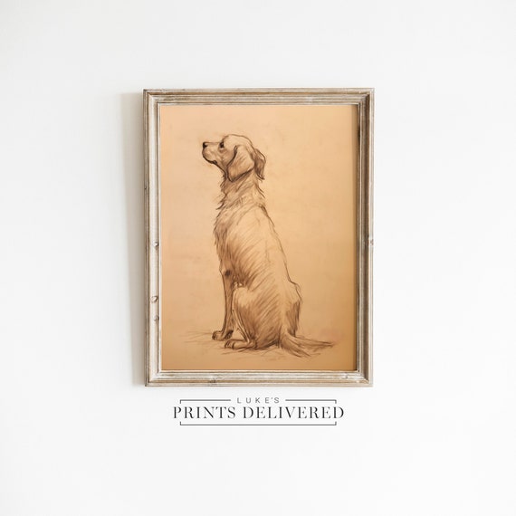 Golden Retriever Drawing Art Print - Fine Art, Semi-Glossy & Matte Finish Papers - Cute Pet Sketch Wall Decor - Big Dog Owner Gifts
