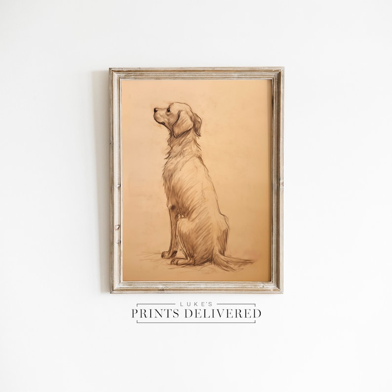 Golden Retriever Drawing Art Print