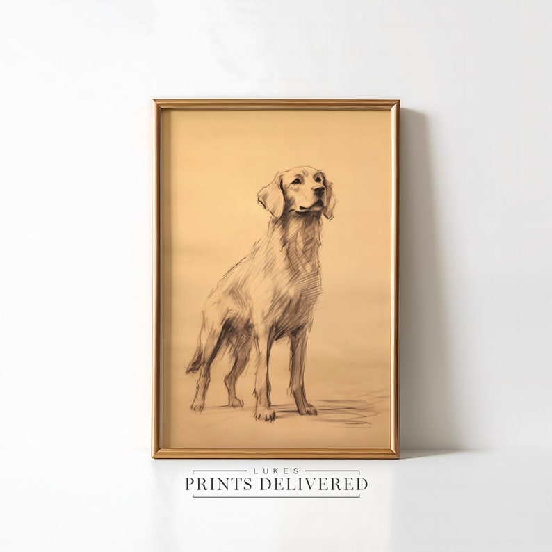 Rustic Golden Retriever Standing Sketch Print