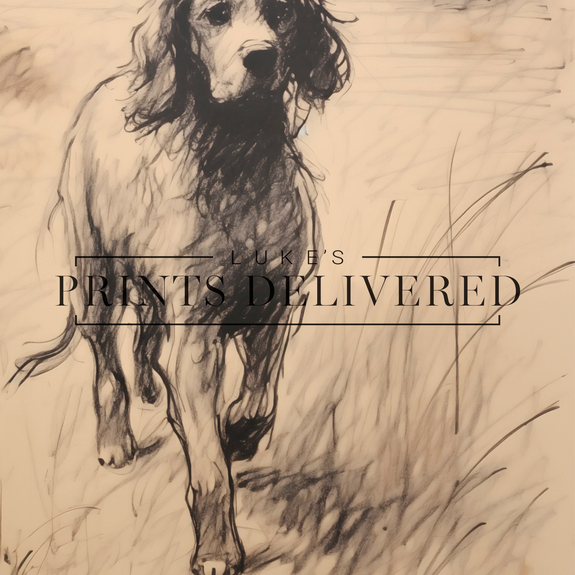 English Spaniel Sketch Print - Vintage Style Dog Portrait - Pet Fine ...