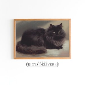 Moody Black Cat Art Print