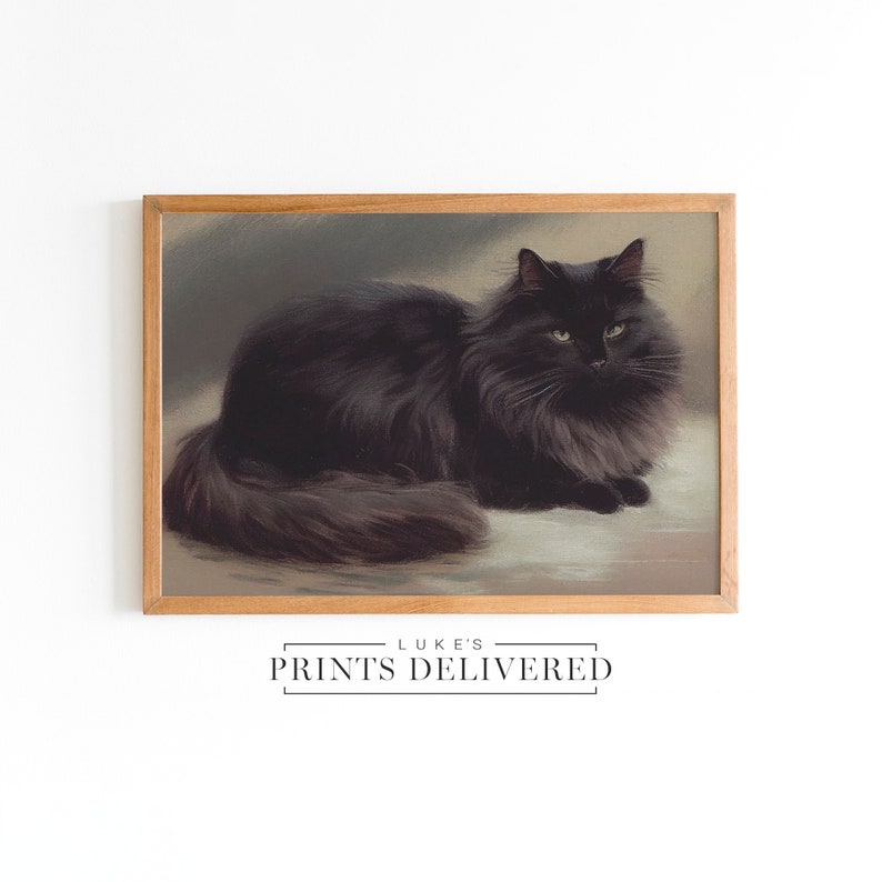 Moody Black Cat Art Print