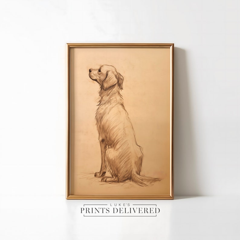 Golden Retriever Drawing Art Print