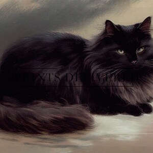 Moody Black Cat Art Print