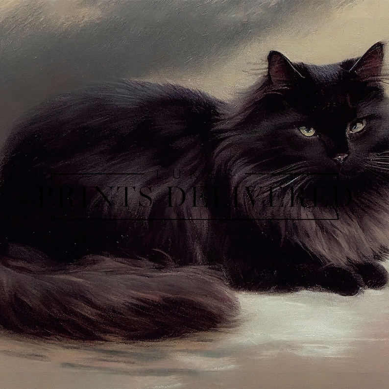 Moody Black Cat Art Print