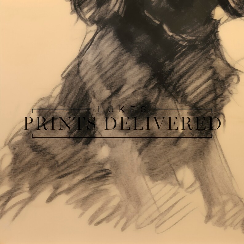 Black English Spaniel Sketch Art Print - Rustic Style Dog Drawing ...