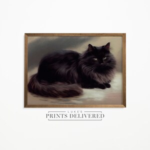 Moody Black Cat Art Print