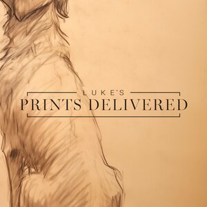 Golden Retriever Drawing Art Print