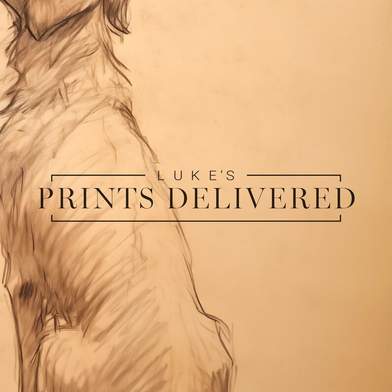 Golden Retriever Drawing Art Print