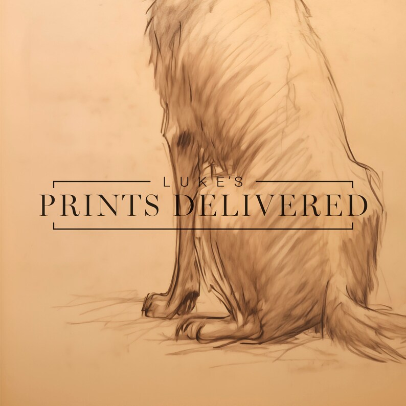 Golden Retriever Drawing Art Print