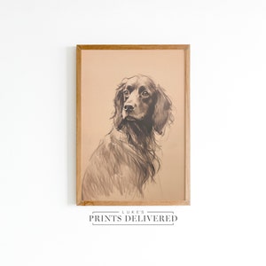 Moody Spaniel Drawing Art Print