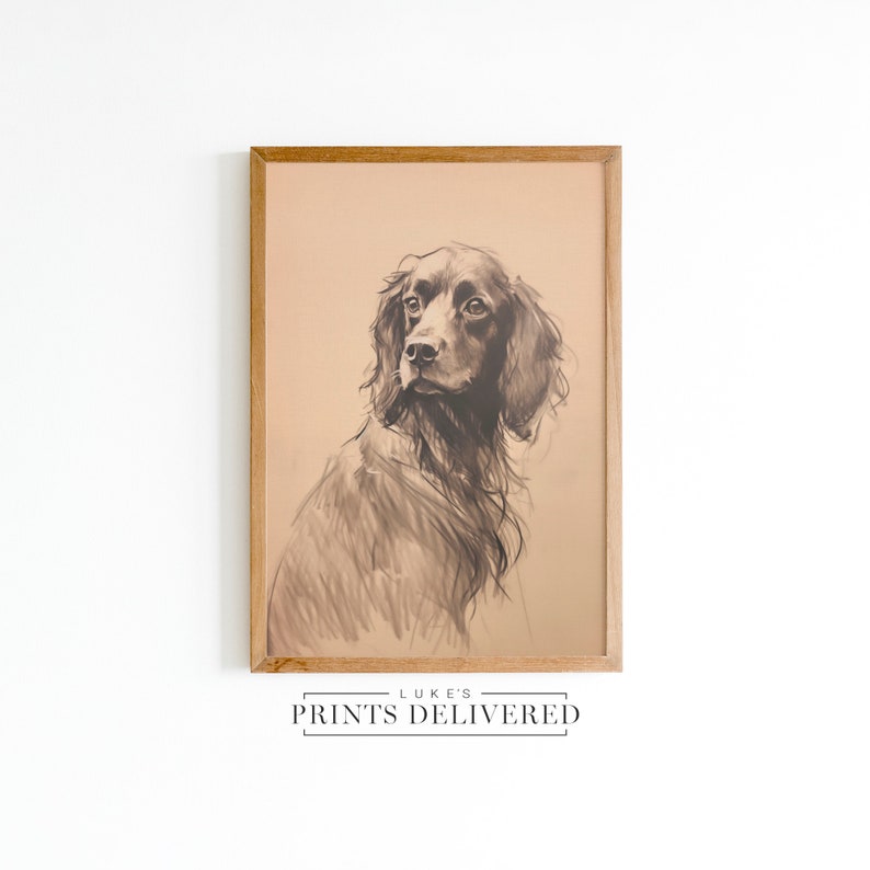Moody Spaniel Drawing Art Print