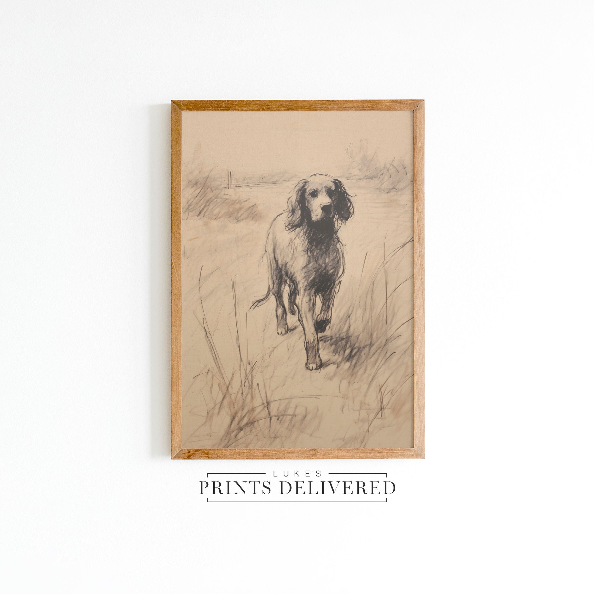 English Spaniel Sketch Print - Vintage Style Dog Portrait - Pet Fine ...