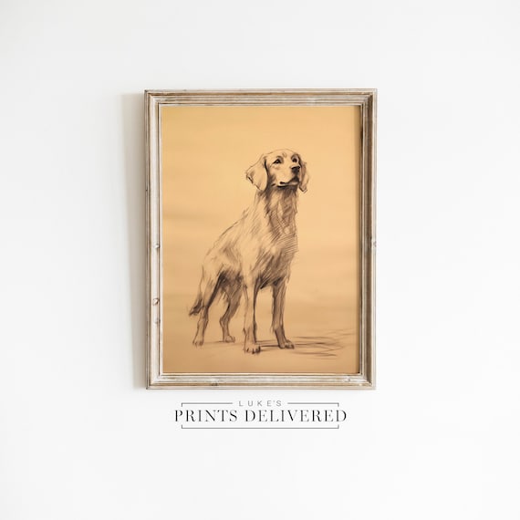 Rustic Golden Retriever Standing Sketch Print - Fine Art, Semi-Glossy & Matte Finish Papers Wall Decor - Big Dog Drawing Artwork