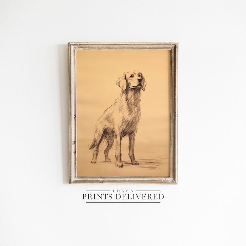Rustic Golden Retriever Standing Sketch Print