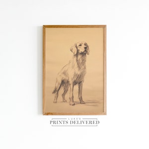 Rustic Golden Retriever Standing Sketch Print