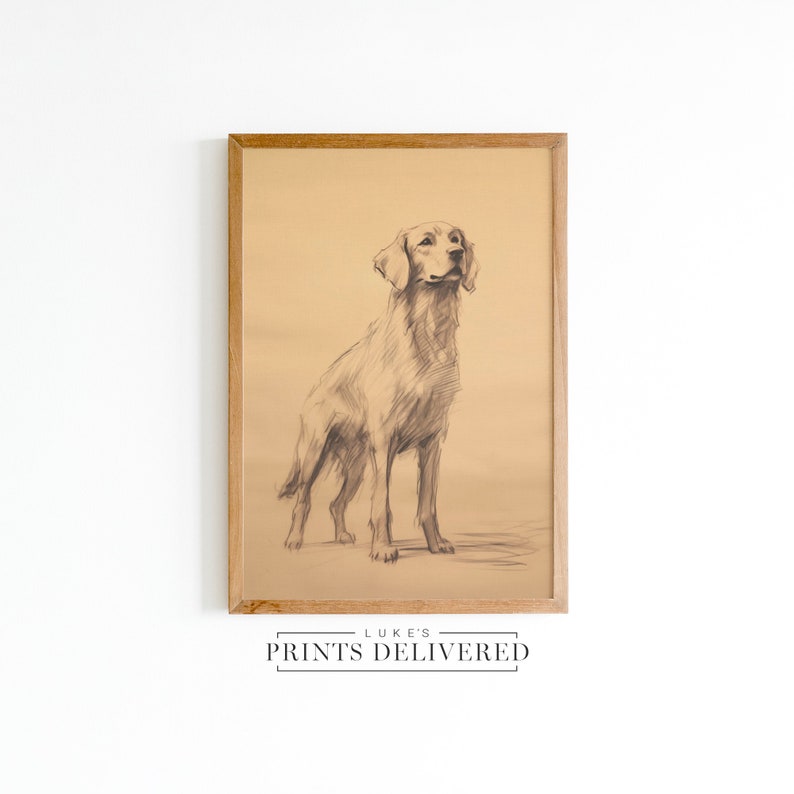 Rustic Golden Retriever Standing Sketch Print