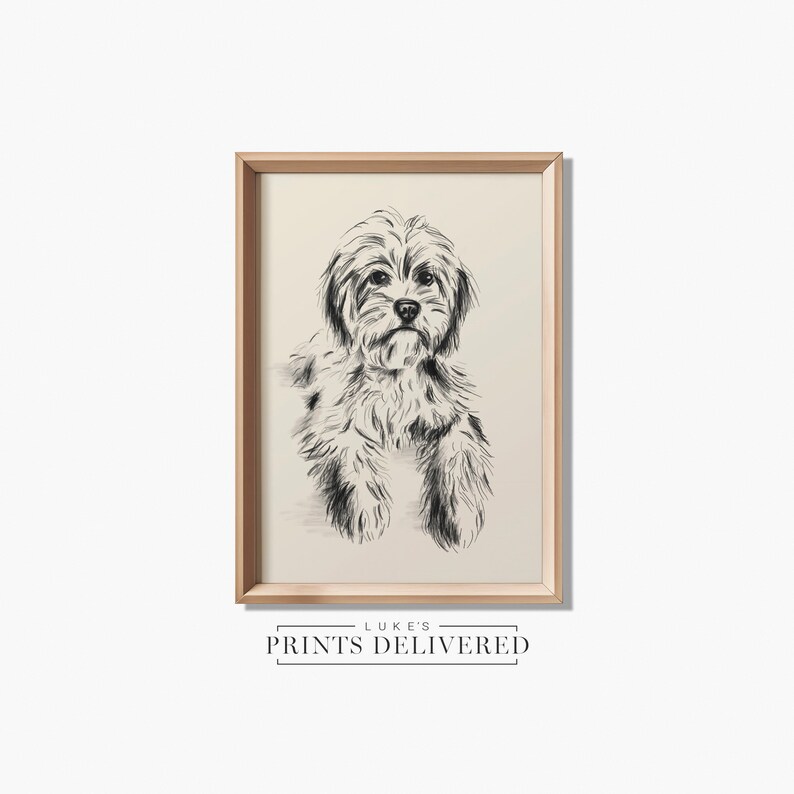 Cavoodle Sketch Art Print