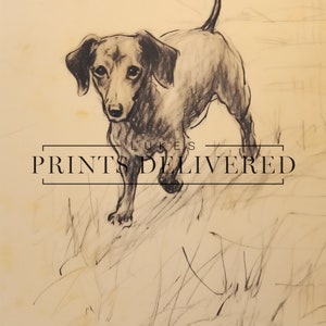 Walking Dachshund Portrait Art Print - Rustic Dog Sketch Decor