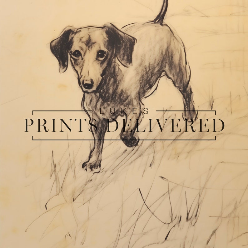 Walking Dachshund Portrait Art Print - Rustic Dog Sketch Decor