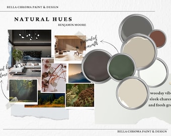 Warm natural earth tones, paint palette, Benjamin Moore for living, kitchen, bedroom, whole house