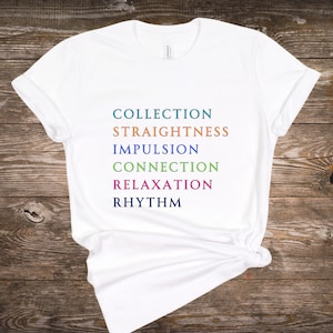 Dressage Pyramid Equestrian Shirt, Horse Lover Tee, Tshirt Gift for Horseback Rider, Horse Girl, Riding Instructor, Equestrian, Trainer