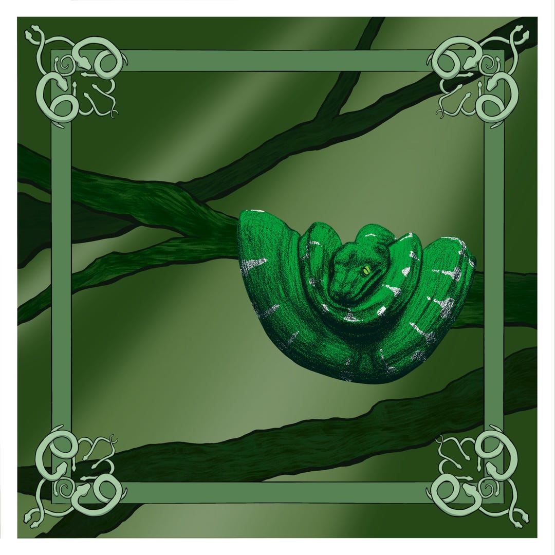 Green Tree Python Print- 8x8 Inch - Etsy