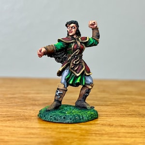 Jade Star, Female Monk from Reaper Miniatures, Painted Miniature, Pro Painted Dungeons and Dragons D&D Pathfinder Miniature, Painted DND