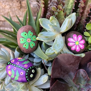 Hand-Painted Garden Stone Set: Ladybug & Flower Rocks