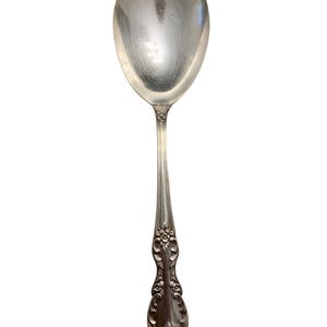 May include: A silver serving spoon with an ornate, floral design on the handle.