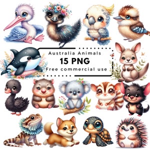 Niedliche Australien Tiere Clipart Bundle transparenten Hintergrund PNG Bilder. Kinderzimmer Clipart, printable Kunst, Geburtstagsdeko, Aufkleber, Becher, Shirt