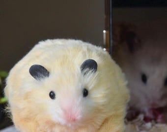 custom hamster plush, hamster replica handmade, personalized hamster gift, pet keepsake from photo, custom pipe cleaner hamster plush, xmas
