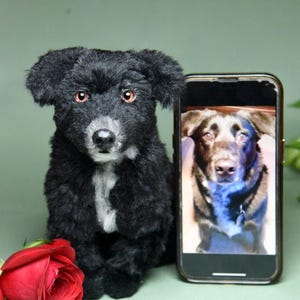 Custom Pet Dog Plush, Handmade Personalized Dog Stuffed Animal, Pet Replica from Photo, Unique Pet Memorial Gift