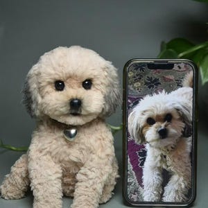 Spersonalizowana pluszowa replika psa, zdjęcie zwierzaka w spersonalizowanej pluszowej zabawce, ręcznie robiony domek dla lalek z drucika kreatywnego w kształcie psa, spersonalizowana pluszowa pamiątka dla zwierzaka