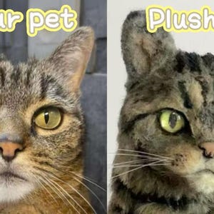 May include: A side-by-side comparison of a cat and a plush toy cat. The real cat has brown and tan fur with green eyes. The plush toy cat has similar coloring and features, with the text "Your pet" and "Plush toy" above each image.