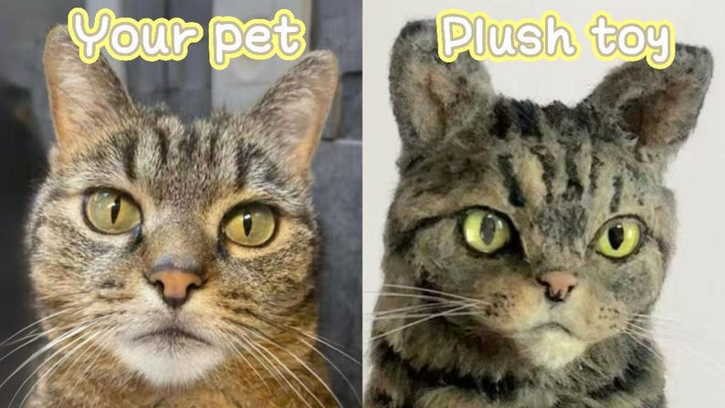 May include: A side-by-side comparison of a cat and a plush toy cat. The real cat has brown and tan fur with green eyes. The plush toy cat has similar coloring and features, with the text "Your pet" and "Plush toy" above each image.