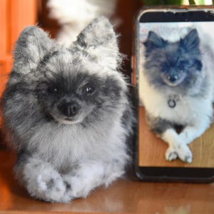 Custom Stuffed Pet Replica, Huggable Dog Plush, Handmade Pet Memorial Gift, Custom Stuffed Animal Cuddle Sizes, Realistic Dog Replica